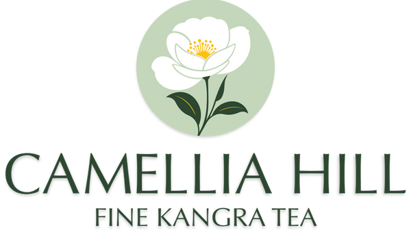 Camellia Hill 